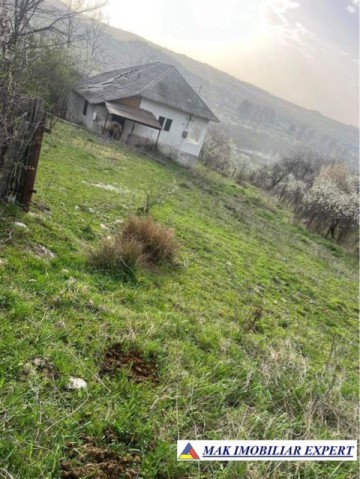 casa-musceleana-3-camere-teren-1001-mp-de-vanzare-in-berevoesti-arges-traditionala-si-plina-de-farmec-13