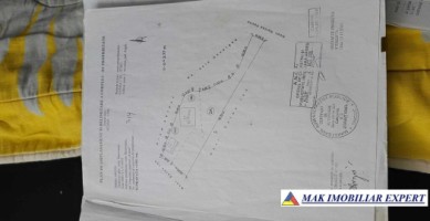 casa-musceleana-3-camere-teren-1001-mp-de-vanzare-in-berevoesti-arges-traditionala-si-plina-de-farmec-16