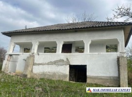 casa-musceleana-3-camere-teren-1001-mp-de-vanzare-in-berevoesti-arges-traditionala-si-plina-de-farmec