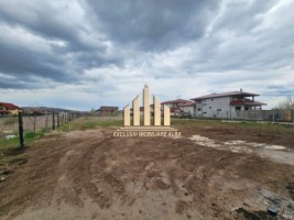 teren-intravilan-de-vanzare-alba-micesti-1