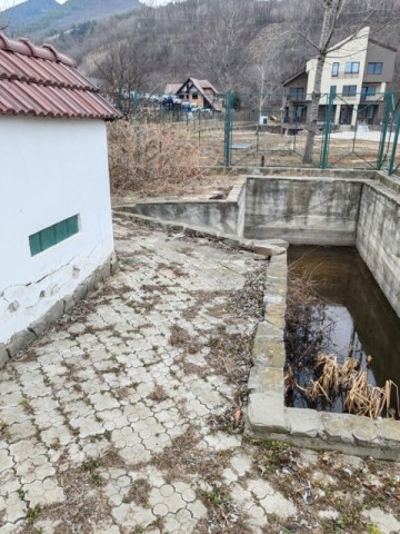 vila-p1mzona-ursuletjudneamtbistrita-2