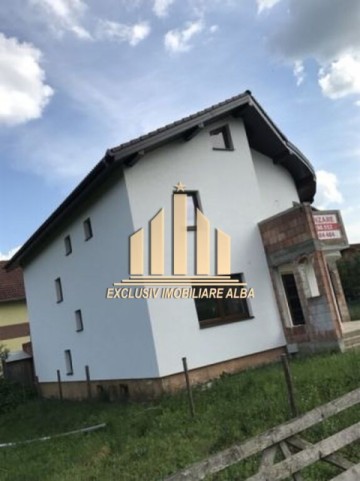 casa-de-vanzare-cetate-7