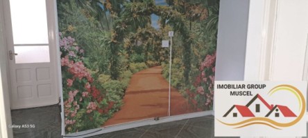 apartament-3-camere-de-inchiriat-zona-centrala-parter-pret-300-euroluna-inchiriat-19