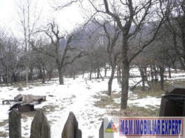 vand-teren-de-7500-mp-de-vanzare-in-apa-sarata-campulung-muscel-arges-2