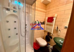 inchiriez-apartament-2-camererenovatcu-garaj-si-terasazona-calea-poplacii-3