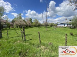 casa-cu-teren-4000-mp-la-5-minute-de-campulung-muscel-75000-euro-6