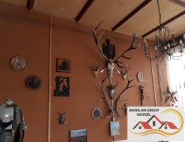 vila-5-camere-campulung-muscel-zona-centru-11