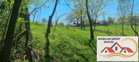 teren-intravilan-in-suprafata-de-1443-mp-situat-in-campulung-muscel-pret-11600-euro-10