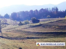 teren-intravilan-1-ha-de-vanzare-in-ciocanu-dambovicioara-arges-ideal-pentru-proiecte-turistice-si-rezidentiale-2