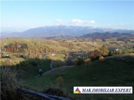 teren-intravilan-1-ha-de-vanzare-in-ciocanu-dambovicioara-arges-ideal-pentru-proiecte-turistice-si-rezidentiale-3
