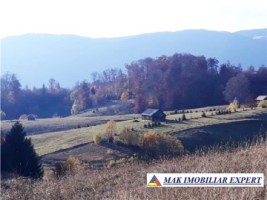 teren-intravilan-1-ha-de-vanzare-in-ciocanu-dambovicioara-arges-ideal-pentru-proiecte-turistice-si-rezidentiale-5