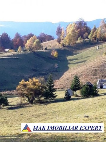 teren-intravilan-1-ha-de-vanzare-in-ciocanu-dambovicioara-arges-ideal-pentru-proiecte-turistice-si-rezidentiale-4