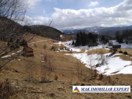 teren-intravilan-1-ha-de-vanzare-in-ciocanu-dambovicioara-arges-ideal-pentru-proiecte-turistice-si-rezidentiale-8