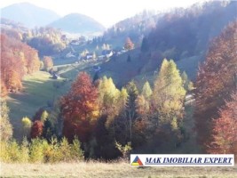 teren-intravilan-1-ha-de-vanzare-in-ciocanu-dambovicioara-arges-ideal-pentru-proiecte-turistice-si-rezidentiale-7