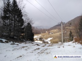 teren-intravilan-1-ha-de-vanzare-in-ciocanu-dambovicioara-arges-ideal-pentru-proiecte-turistice-si-rezidentiale-9