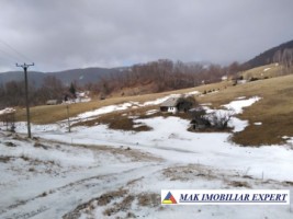 teren-intravilan-1-ha-de-vanzare-in-ciocanu-dambovicioara-arges-ideal-pentru-proiecte-turistice-si-rezidentiale-10