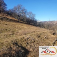 teren-intravilan-4614-mp-campulung-muscel-valea-romanestilor-pret-23-000-euro-12