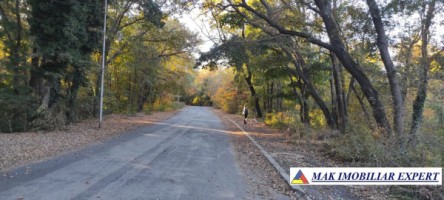 teren-1000-mp-intravilan-de-vanzare-in-mangalia-constanta-ideal-pentru-constructii
