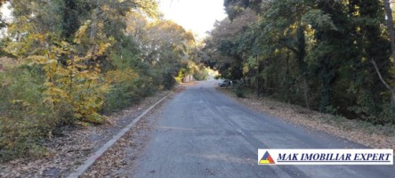 teren-1000-mp-intravilan-de-vanzare-in-mangalia-constanta-ideal-pentru-constructii-1