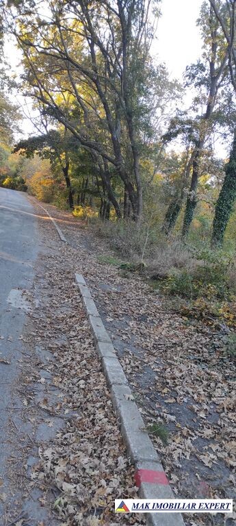teren-1000-mp-intravilan-de-vanzare-in-mangalia-constanta-ideal-pentru-constructii-3