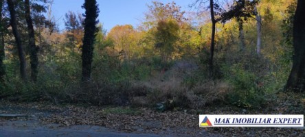 teren-1000-mp-intravilan-de-vanzare-in-mangalia-constanta-ideal-pentru-constructii-4