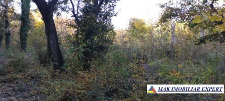 teren-1000-mp-intravilan-de-vanzare-in-mangalia-constanta-ideal-pentru-constructii-5