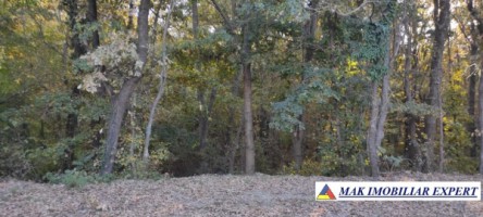 teren-1000-mp-intravilan-de-vanzare-in-mangalia-constanta-ideal-pentru-constructii-8
