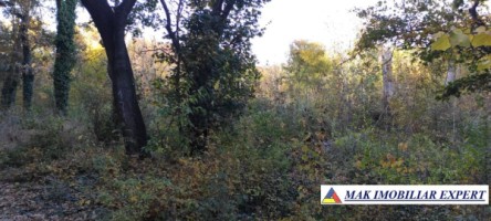 teren-1000-mp-intravilan-de-vanzare-in-mangalia-constanta-ideal-pentru-constructii-9