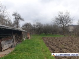 casa-si-livada-de-24-ha-de-vanzare-in-berevoiesti-ideala-pentru-locuinta-si-activitati-agricole-10