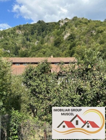 vila-de-vanzare-cetateni-pret-66000-euro-3