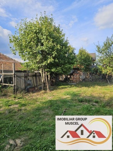 casa-din-caramide-cu-4-camere-in-valea-mare-pravat-pret-55000-euro-8
