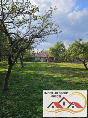 casa-din-caramide-cu-4-camere-in-valea-mare-pravat-pret-55000-euro-13