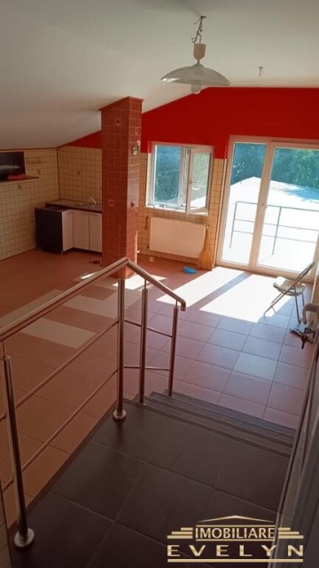 de-vanzare-spatiu-comercial-locuinta-teren-zona-restaurant-tex-capat-1-pret-300000-euro-1