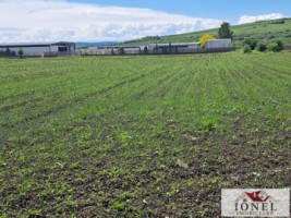 vanzare-5800-mp-teren-intravilan-in-oiejdea-2