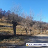 teren-intravilan-4614-mp-de-vanzare-in-valea-romanestilor-campulung-muscel-arges-8