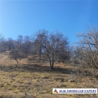 teren-intravilan-4614-mp-de-vanzare-in-valea-romanestilor-campulung-muscel-arges-7