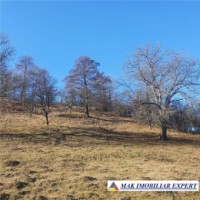 teren-intravilan-4614-mp-de-vanzare-in-valea-romanestilor-campulung-muscel-arges-10
