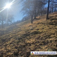 teren-intravilan-4614-mp-de-vanzare-in-valea-romanestilor-campulung-muscel-arges-11