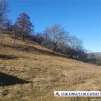 teren-intravilan-4614-mp-de-vanzare-in-valea-romanestilor-campulung-muscel-arges-12