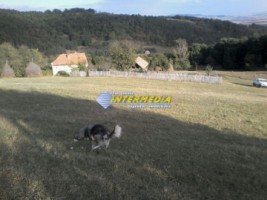 casa-si-teren-in-suprafata-totala-40000mp-in-apropiere-de-alba-iulia