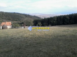 casa-si-teren-in-suprafata-totala-40000mp-in-apropiere-de-alba-iulia-1
