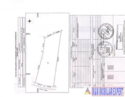 teren-extravilan-5000-mp-de-vanzare-in-dambovicioara-padina-sirnii-ideal-pentru-agricultura-si-recreere-2