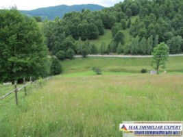 teren-extravilan-5000-mp-de-vanzare-in-dambovicioara-padina-sirnii-ideal-pentru-agricultura-si-recreere-1