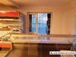 vila-spatiu-comercial-teren-500-mp-corbi-5