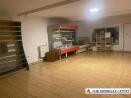 vila-spatiu-comercial-teren-500-mp-corbi-1