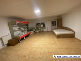 vila-spatiu-comercial-teren-500-mp-corbi-2