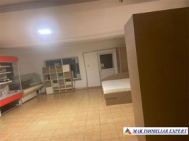 vila-spatiu-comercial-teren-500-mp-corbi-4