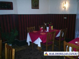 cabana-montana-60-camere-teren-1-ha-leresti-8