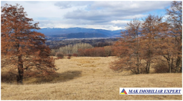 teren-2257-ha-comasat-campulung-matau