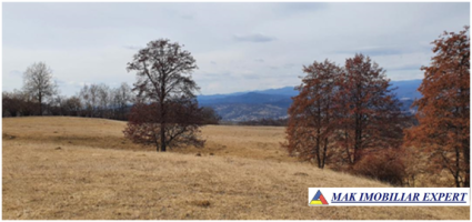 teren-2257-ha-comasat-campulung-matau-1